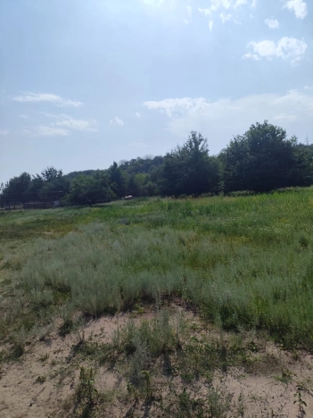 Купить земельный участок в Воронеже. Вариант № 15677, 1, площадь -  квм, цена 2000000 рублей