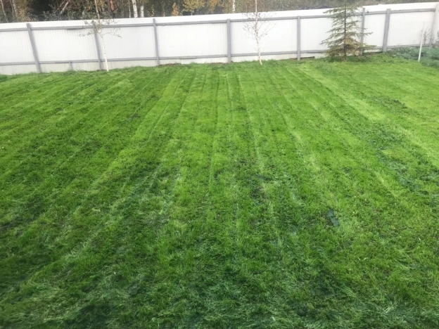 Купить дом в Санкт-Петербурге. Вариант № 6592, 23, площадь -  квм, цена 14400000 рублей