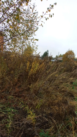 Купить земельный участок в Владимире. Вариант № 6956352, 0, площадь -  квм, цена 3650000 рублей