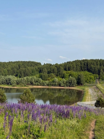 Купить земельный участок на улице Малиновая в Республике Татарстан (татарстан). Вариант № 55109, 0, площадь -  квм, цена 500000 рублей