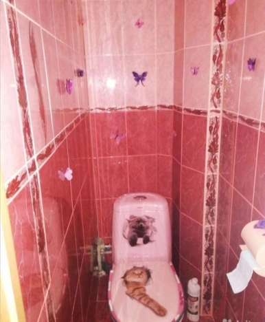 Купить квартиру в Немане. Вариант № 5289841, 3, площадь -  квм, цена 1600000 рублей