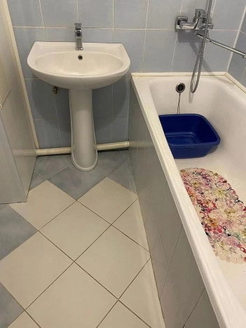 Купить квартиру в Бердске. Вариант № 3822799, 23, площадь -  квм, цена 7950000 рублей