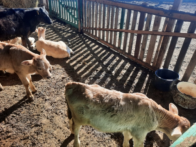 Купить коммерческую недвижимость в Судогде. Вариант № 2228, 23, площадь -  квм, цена 17948000 рублей