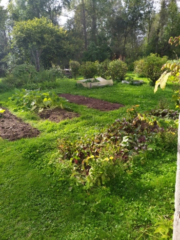 Купить дачу в Ярославской области. Вариант № 6762310, 5, площадь -  квм, цена 960000 рублей