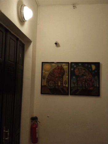 Купить квартиру в Москве. Вариант № 9813279, 20, площадь -  квм, цена 230000000 рублей