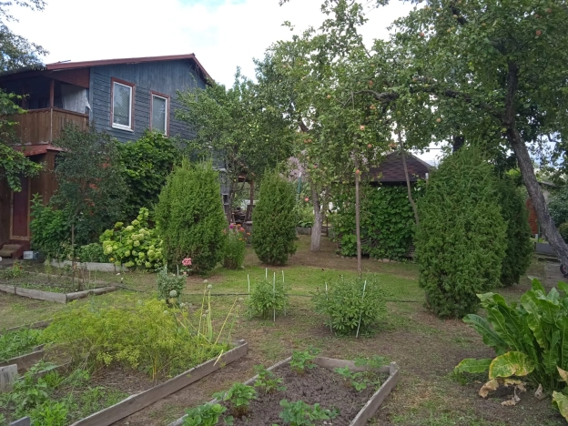 Купить дачу в Московской области. Вариант № 6182443, 1, площадь -  квм, цена 1980000 рублей