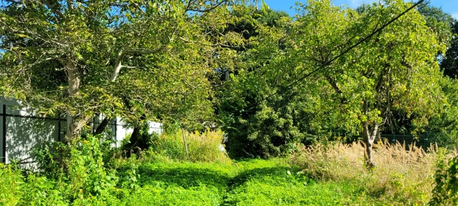 Купить земельный участок на улице Заозёрный проезд в Калининграде. Вариант № 4054939, 5, площадь -  квм, цена 4950000 рублей