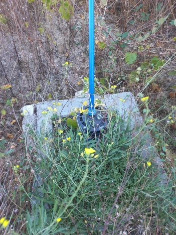 Купить дом в Краснодарском крае. Вариант № 8628602, 19, площадь -  квм, цена 11500000 рублей