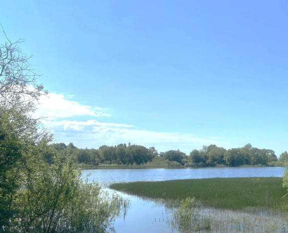 Купить дом в Калуге. Вариант № 8897, 12, площадь -  квм, цена 580000 рублей