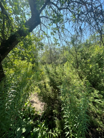 Купить дачу в Воронеже. Вариант № 736974, 3, площадь - квм, цена 1070000 рублей