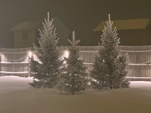 Купить дом в Микрорайоне Порт-Артур в Омске. Вариант № 856174, 11, площадь -  квм, цена 10750000 рублей