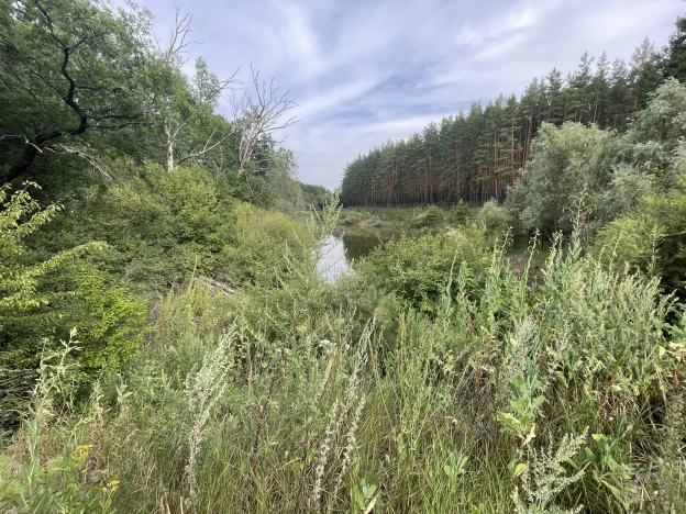 Купить дом в Воронеже. Вариант № 560041, 27, площадь -  квм, цена 16900000 рублей