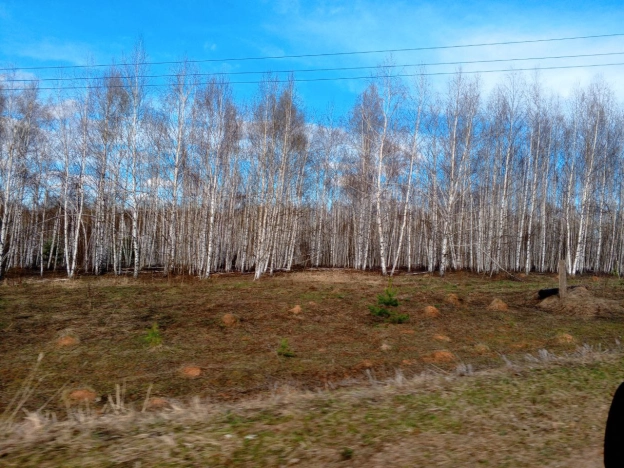 Купить земельный участок в Нижнем Новгороде. Вариант № 7736854, 9, площадь -  квм, цена 750000 рублей