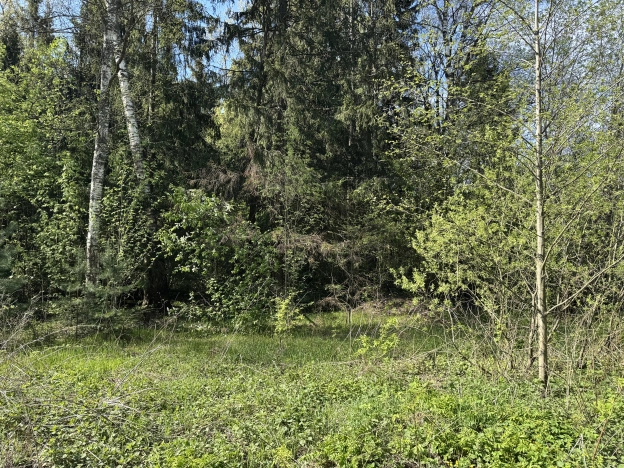 Купить земельный участок в Сергиеве Посаде. Вариант № 43159, 1, площадь -  квм, цена 3700000 рублей