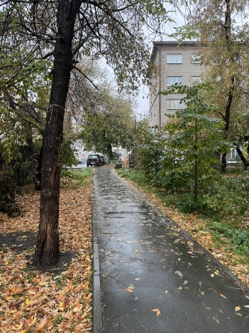 Купить двухкомнатную квартиру в ЦАО в Новосибирске. Вариант № 6817049, 12, площадь -  квм, цена 5400000 рублей