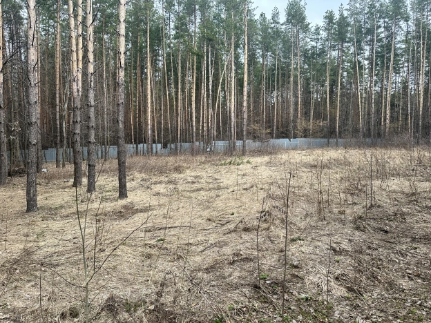 Купить земельный участок в Пензе. Вариант № 19484, 0, площадь -  квм, цена 13000000 рублей