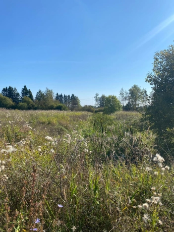 Купить земельный участок в Вологодской области. Вариант № 13732, 3, площадь -  квм, цена 7800000 рублей