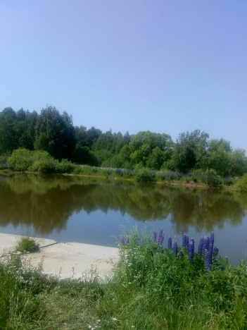 Купить земельный участок в Гусь-Хрустальном. Вариант № 4051, 7, площадь -  квм, цена 380000 рублей