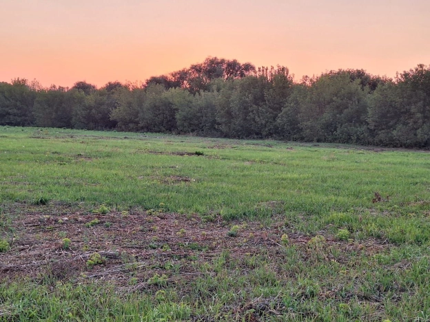 Купить земельный участок в Воронеже. Вариант № 23368, 0, площадь -  квм, цена 4150000 рублей