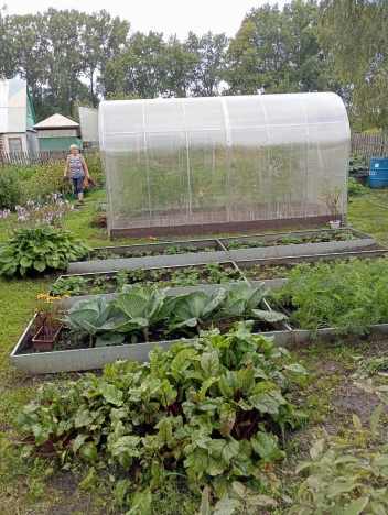 Купить дом в Новосибирске. Вариант № 2538910, 6, площадь -  квм, цена 950000 рублей