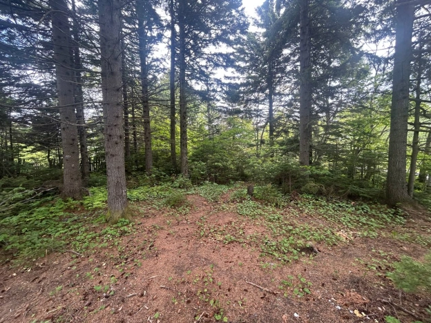 Купить дом в Южно-Сахалинске. Вариант № 35951, 3, площадь -  квм, цена 2150000 рублей