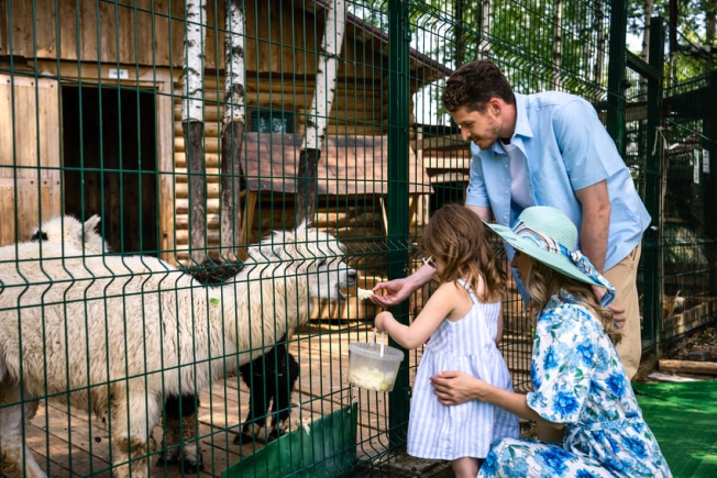 Купить земельный участок в Истре. Вариант № 2899221, 17, площадь -  квм, цена 8500000 рублей
