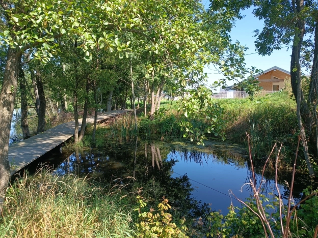 Купить земельный участок в Калининграде. Вариант № 2496651, 13, площадь -  квм, цена 1000000 рублей