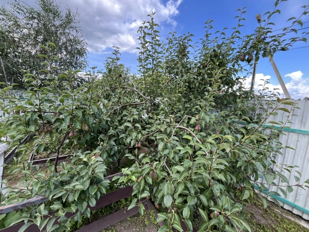 Купить дом в Багратионовске. Вариант № 10752, 7, площадь -  квм, цена 10590000 рублей