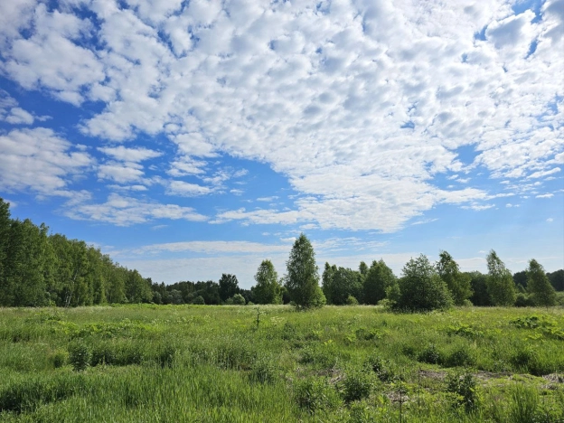 Купить земельный участок в Тверской области. Вариант № 9863, 1, площадь -  квм, цена 22000000 рублей