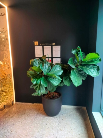 Купить квартиру в Москве. Вариант № 8173133, 14, площадь -  квм, цена 44900000 рублей