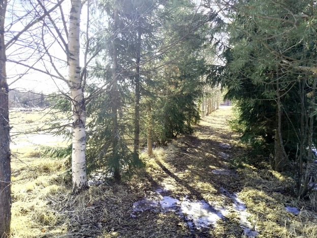 Купить земельный участок в Вологодской области. Вариант № 31269, 1, площадь -  квм, цена 350000 рублей