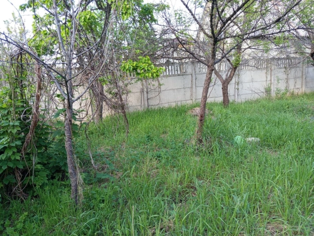 Купить дачу в Краснодарском крае. Вариант № 10283300, 4, площадь -  квм, цена 2050000 рублей