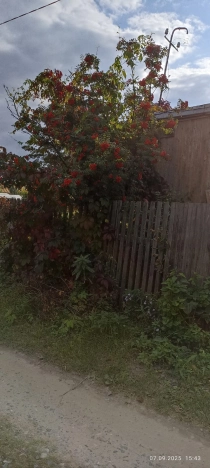 Купить земельный участок в Тобольске. Вариант № 3415258, 2, площадь -  квм, цена 400000 рублей