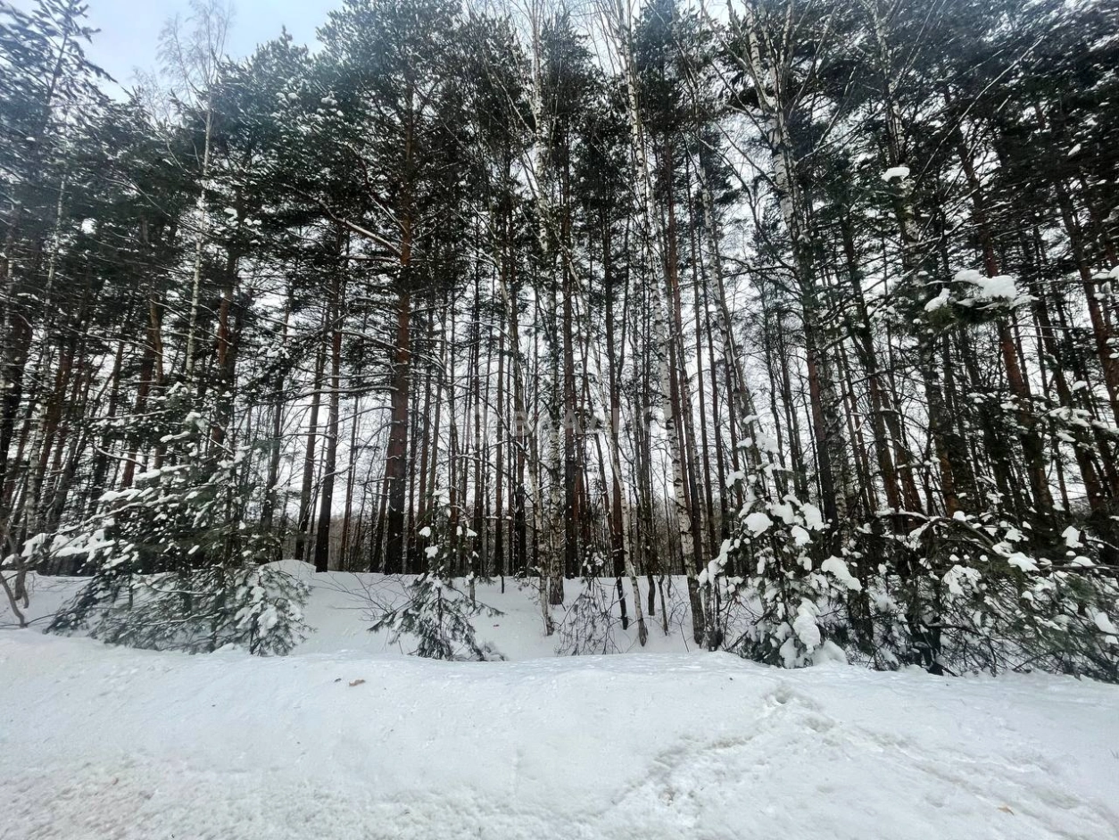 Photo https://36000382-a1c2-4a8a-a109-3fc3bfc73cf7.selcdn.net/App/Entity/ObjectRealty/ObjectRealty/FS/53b3a90d-e70c-458d-b373-321d91456b42/A7rcv49KmahUWO62U6u2JLloHp0jz2eXRqmAPnbv.jpg.compressed.webp