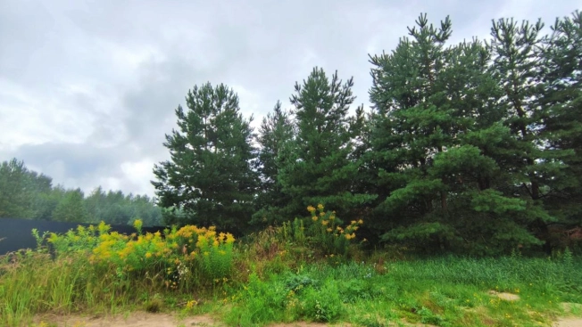 Купить земельный участок на улице Журавлиха в Владимире. Вариант № 44659, 13, площадь -  квм, цена 2000000 рублей