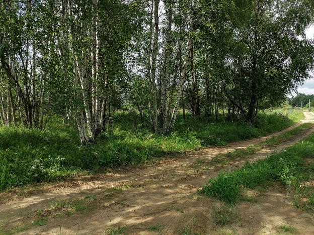 Купить земельный участок на улице Селецкая в Владимире. Вариант № 9516, 10, площадь -  квм, цена 1025000 рублей