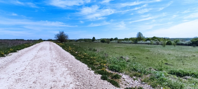 Купить земельный участок в Покрове. Вариант № 1301, 5, площадь -  квм, цена 250000 рублей