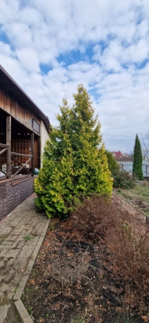 . Вариант № 32369, 46, площадь - 460 квм, цена 11700000 рублей