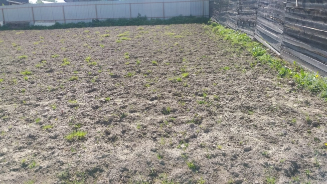 Купить земельный участок в Новосибирске. Вариант № 46029, 3, площадь -  квм, цена 2250000 рублей