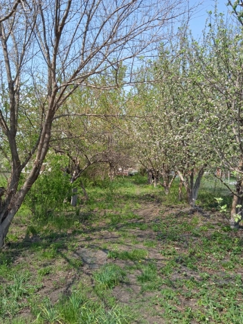 Купить дом на улице Советский переулок в Воронежской области. Вариант № 37179, 34, площадь -  квм, цена 2300000 рублей