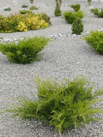 Купить дом на улице Байдукова в Обь. Вариант № 14781, 44, площадь -  квм, цена 9500000 рублей