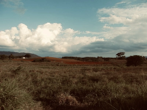 Купить земельный участок в Иркутской области. Вариант № 8565, 0, площадь - квм, цена 230000 рублей