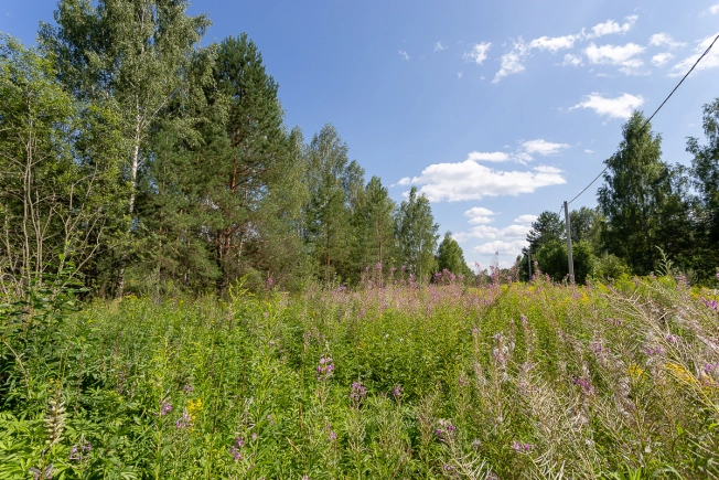 Купить земельный участок на улице Большая Лукинская в Владимире. Вариант № 14006, 3, площадь -  квм, цена 1000000 рублей
