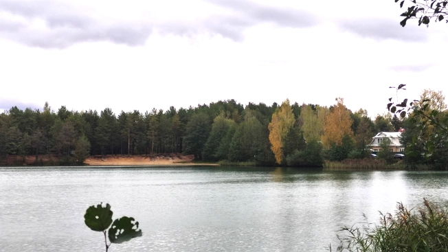 Купить дачу в Московской области. Вариант № 6272527, 26, площадь -  квм, цена 2300000 рублей