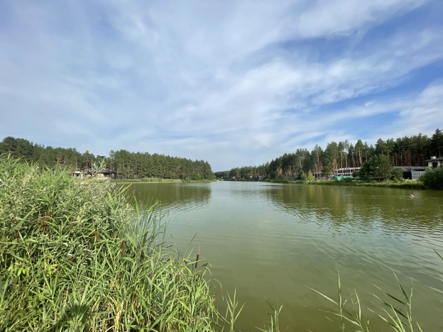 Купить дом в Воронеже. Вариант № 561797, 38, площадь -  квм, цена 13500000 рублей