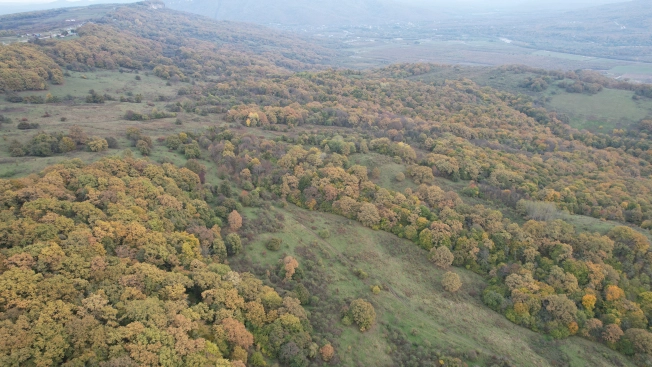 Купить земельный участок в Республике Адыгея (адыгея). Вариант № 10339550, 5, площадь -  квм, цена 3900000 рублей