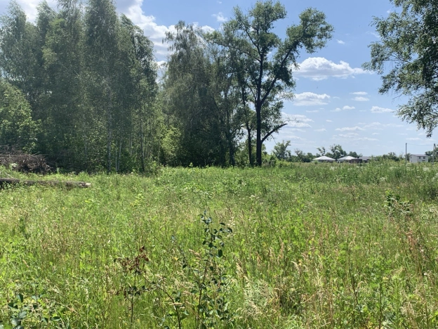 Купить земельный участок в Воронеже. Вариант № 19971, 2, площадь -  квм, цена 1110000 рублей