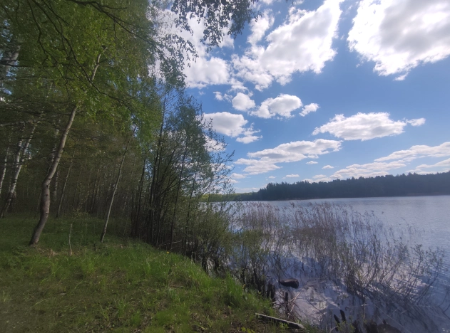 Купить земельный участок на улице Загородная в Ярославской области. Вариант № 1201656, 5, площадь -  квм, цена 1800000 рублей