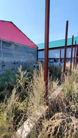 Купить коммерческую недвижимость в Чите. Вариант № 3048, 15, площадь -  квм, цена 4000000 рублей