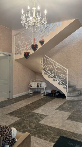 Купить дом на улице Колтушское шоссе в Всеволожске. Вариант № 566020, 14, площадь -  квм, цена 39000000 рублей